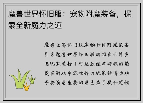 魔兽世界怀旧服：宠物附魔装备，探索全新魔力之道